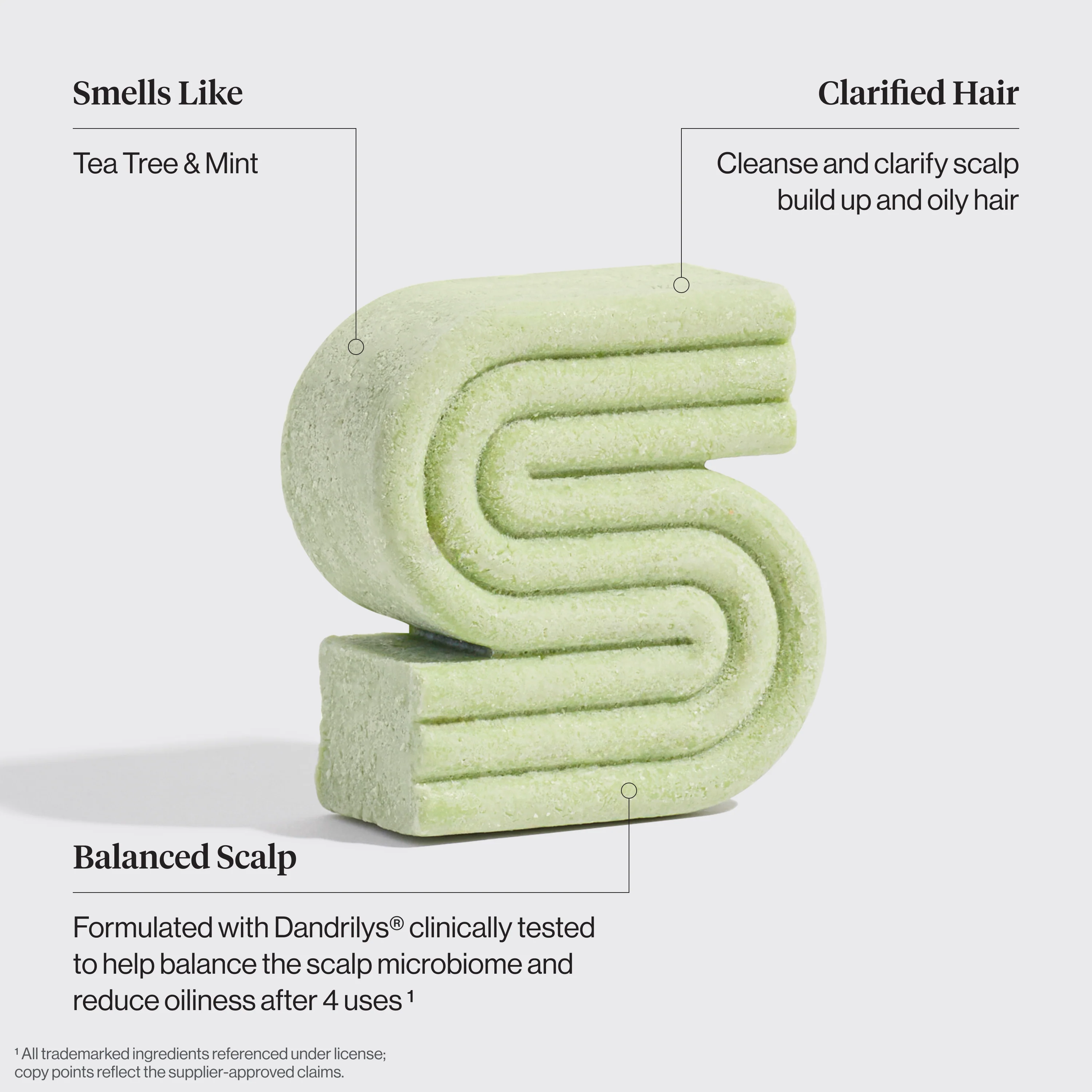 Tea Tree & Mint Clarifying Shampoo & Conditioner Bar Combo - Image 3