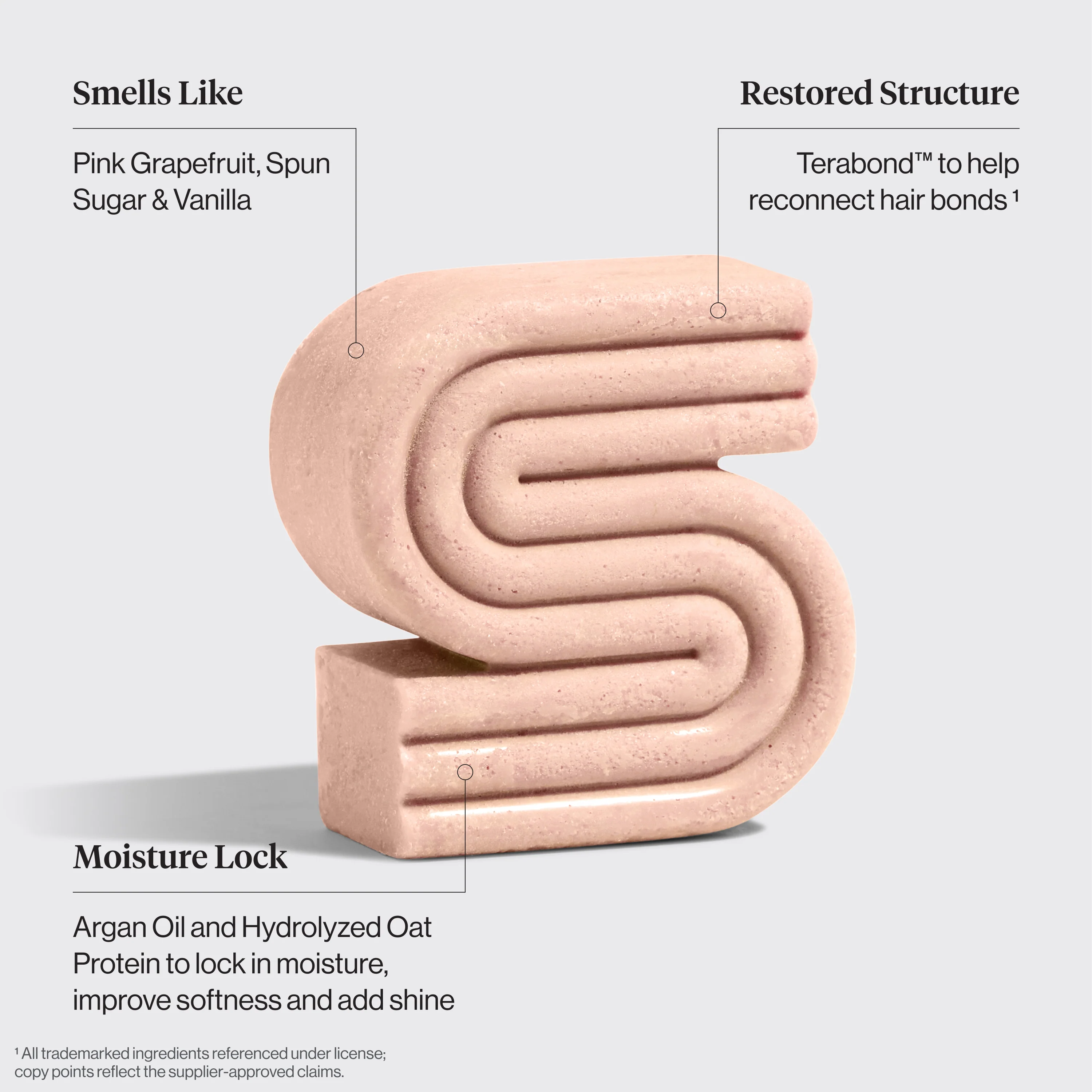 Repairing Argan Oil Shampoo & Conditioner Bar Combo - Image 3