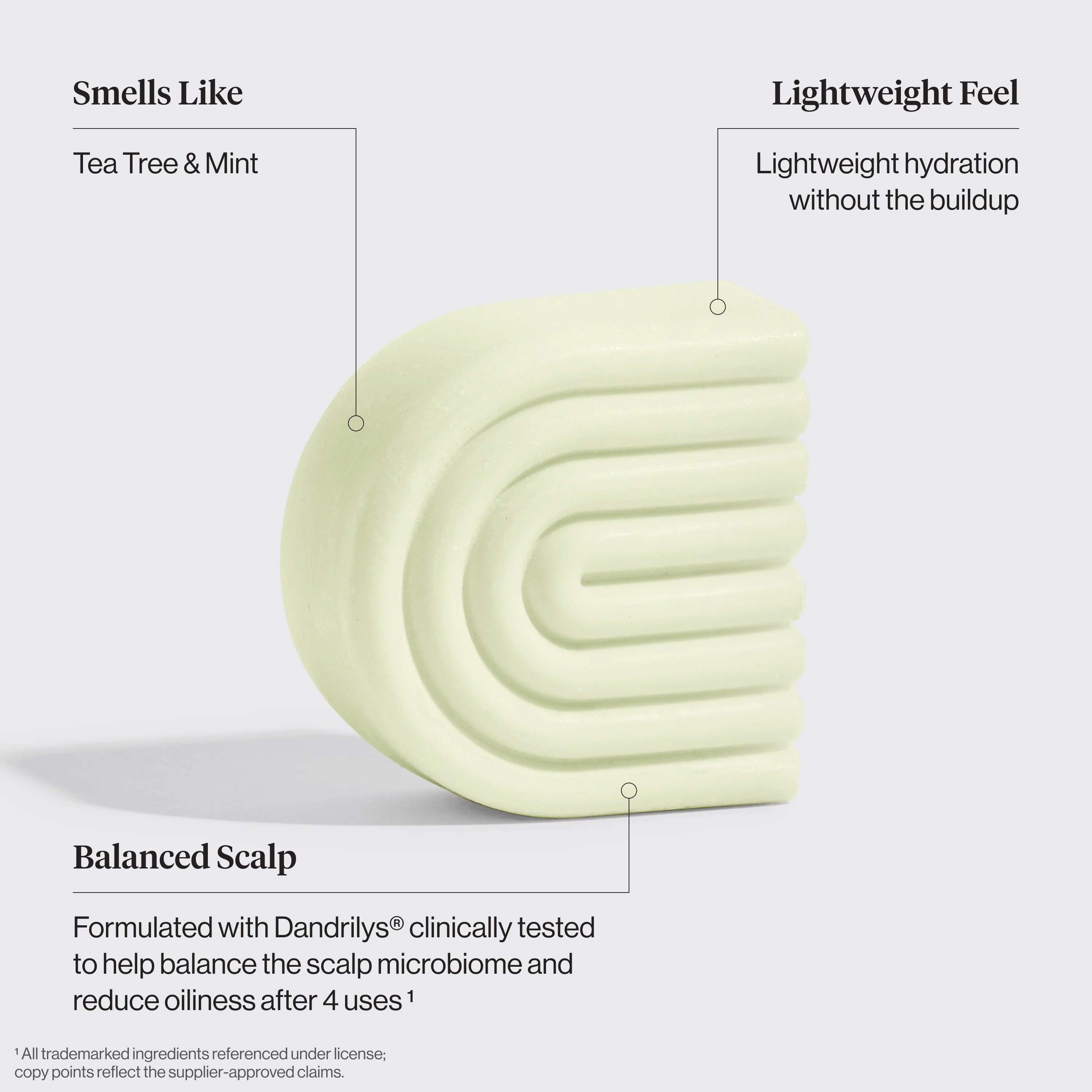 Tea Tree & Mint Clarifying Shampoo & Conditioner Bar Combo - Image 5